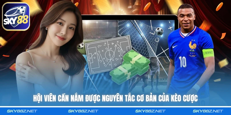 Hội viên cần nắm được nguyên tắc cơ bản của kèo cược