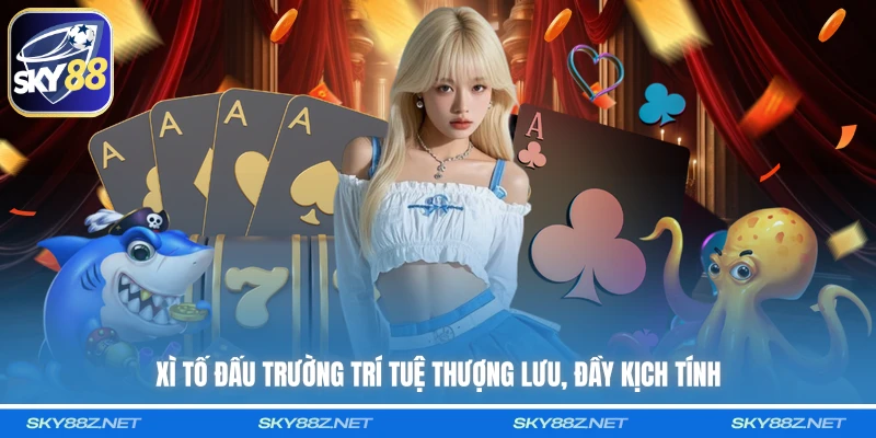 Xì Tố đấu trường trí tuệ thượng lưu, đầy kịch tính 